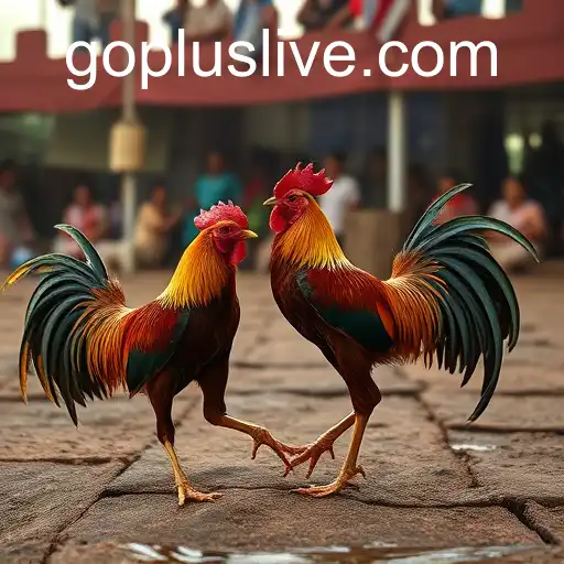 Exploring the World of Sabong Games and Goplus Technology